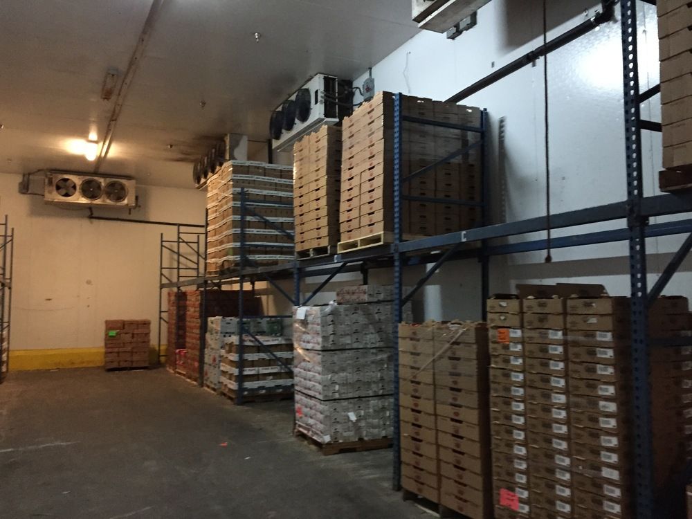 Bank-Owned Cold Storage Warehouse (USDA-Approved) & Expansion Lot : 290 SW 14th Ave, Pompano Beach, FL 33069